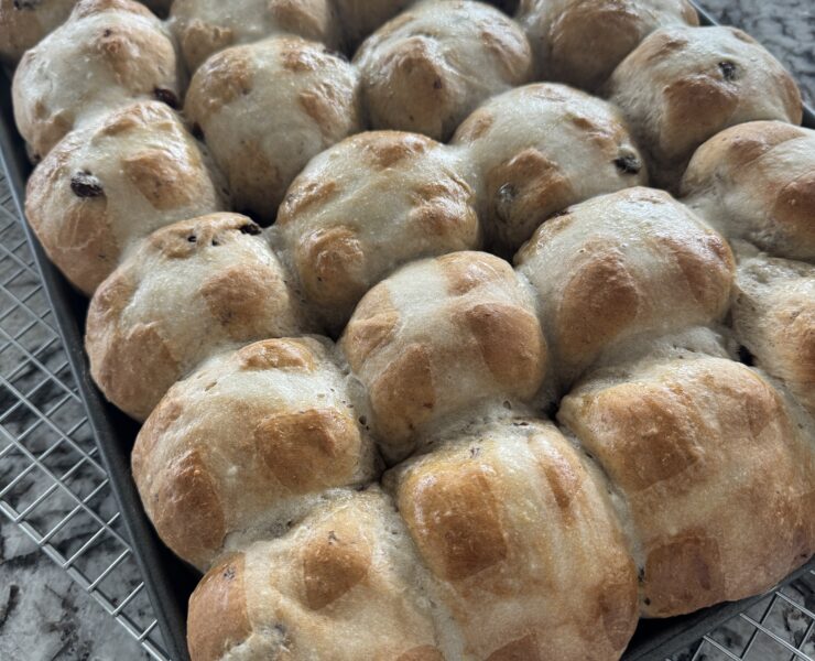 hot cross buns