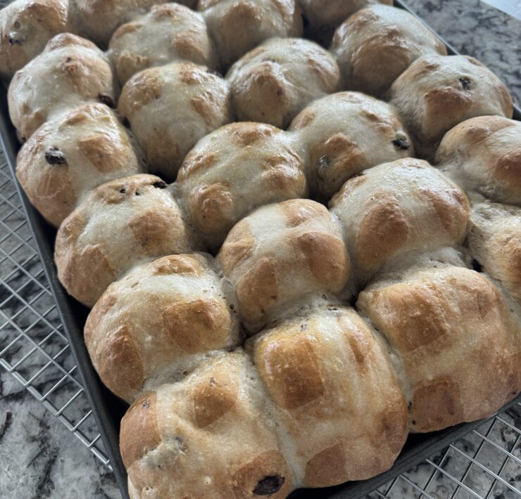 hot cross buns